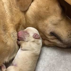 Meet your Posher, Stacey